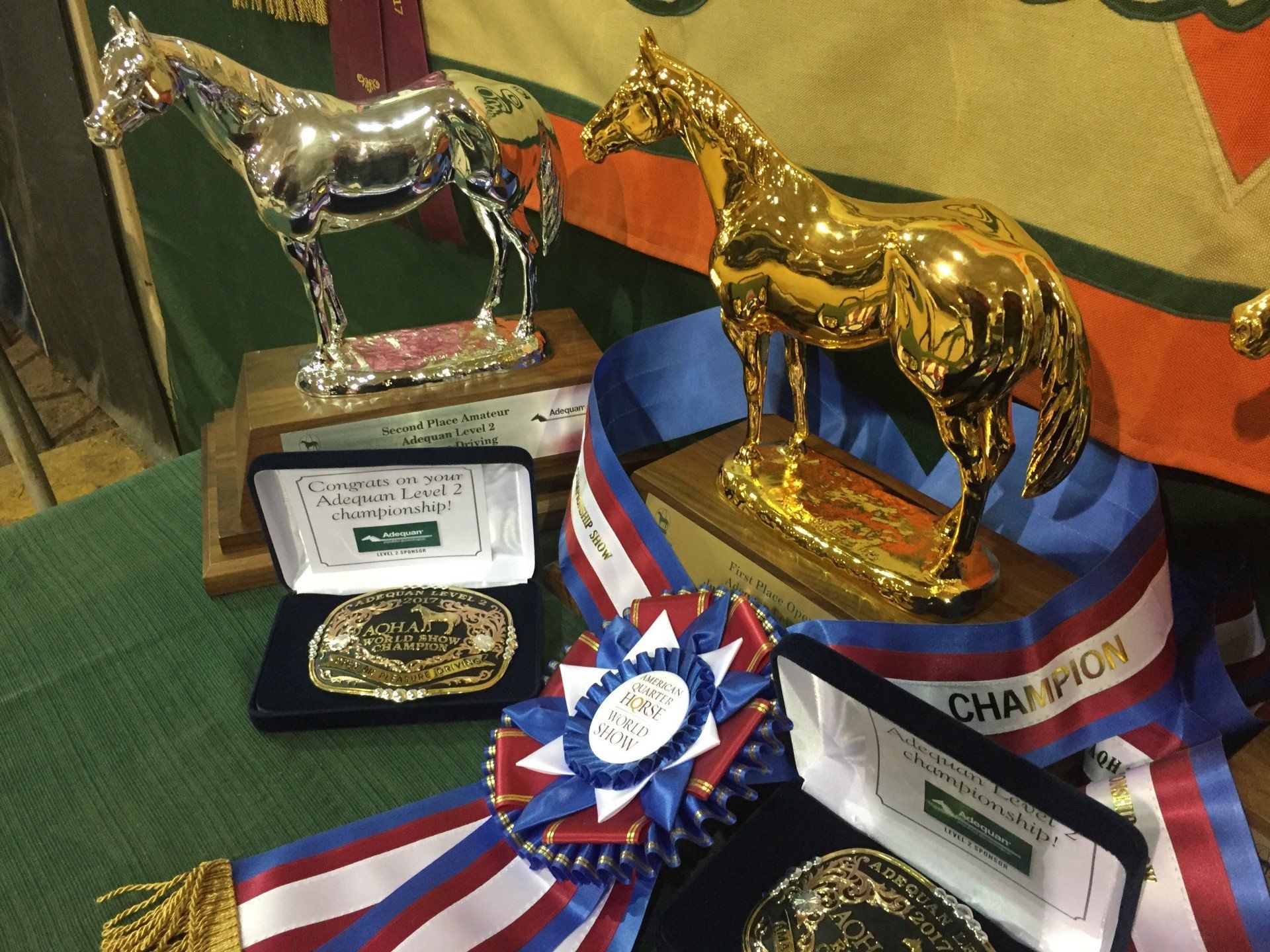 Horse Show Schedule Interstate Equine Hospital