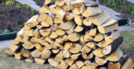 All Jersey Shore Tree Removal | Seasoned Firewood | Brick NJ