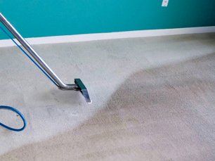 Mike Shelley's Carpet & Upholstery Cleaning Flexible Hours ...