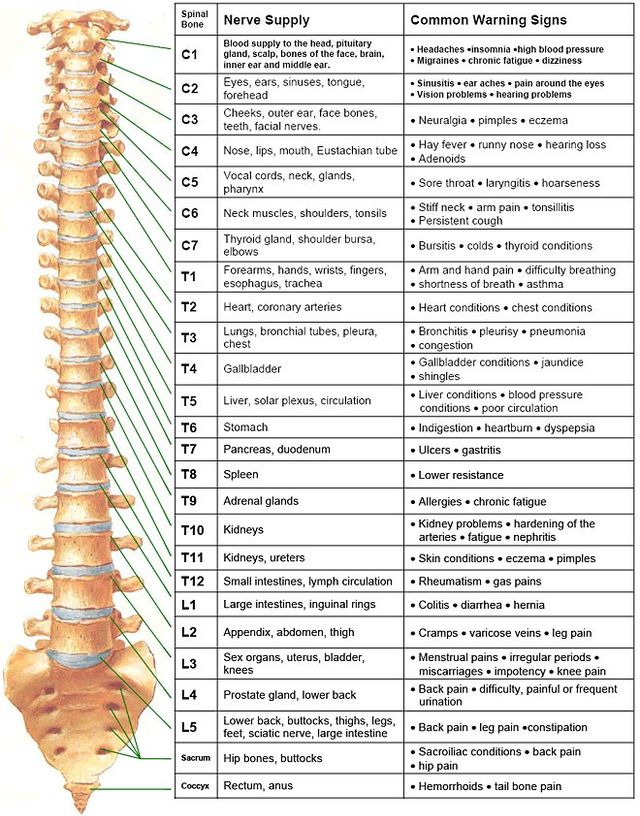 Chiropractic Care Chronic Condition Treatment Weirton WV