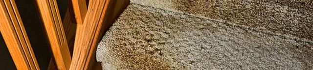 Water Damage Restoration Flood Work Grand Forks Nd