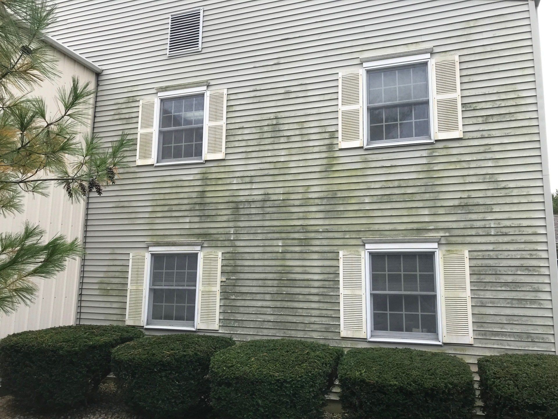 Excel Eco Clean Carpet Cleaning Services Charleston, IL