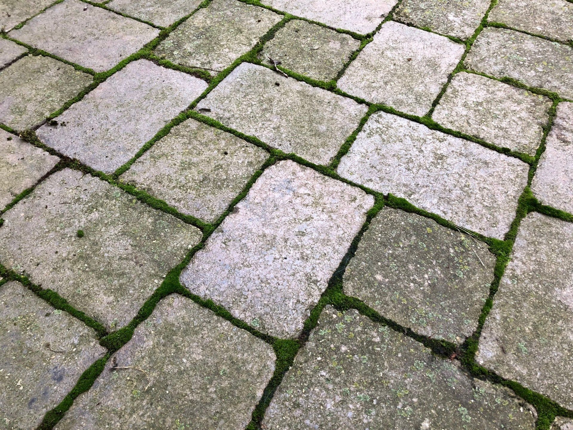 Excel Eco Clean Carpet Cleaning Services Charleston, IL