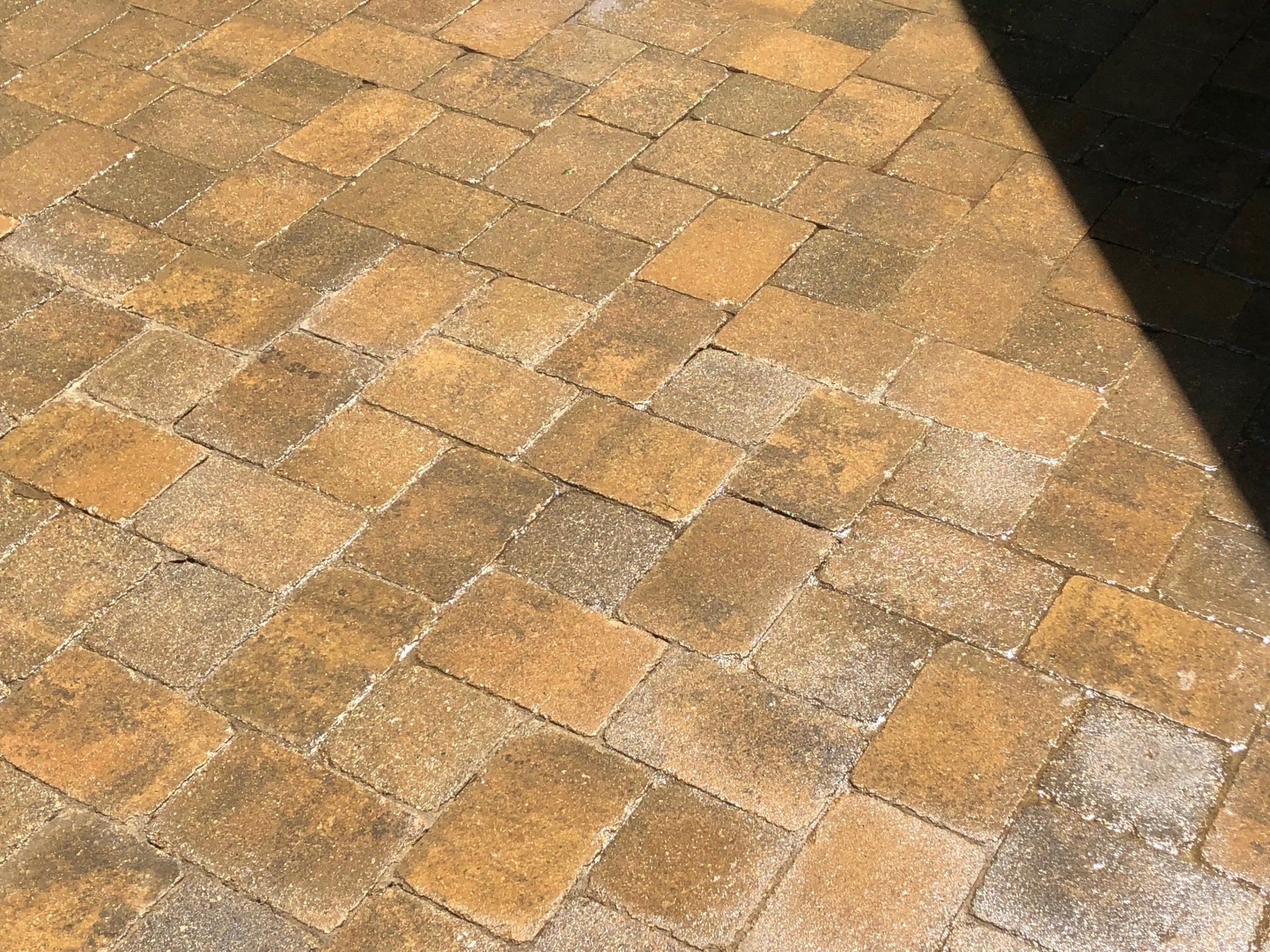 Excel Eco Clean Carpet Cleaning Services Charleston, IL