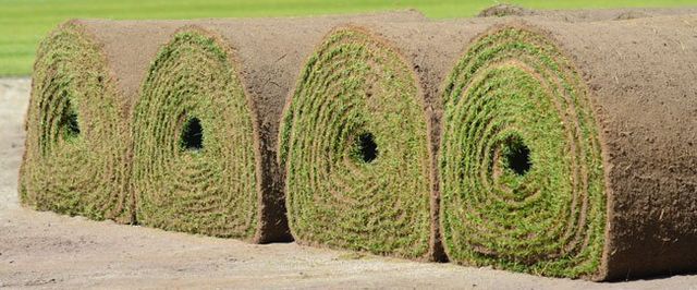 Sod Installation | Soil Analysis | Winter Haven, FL