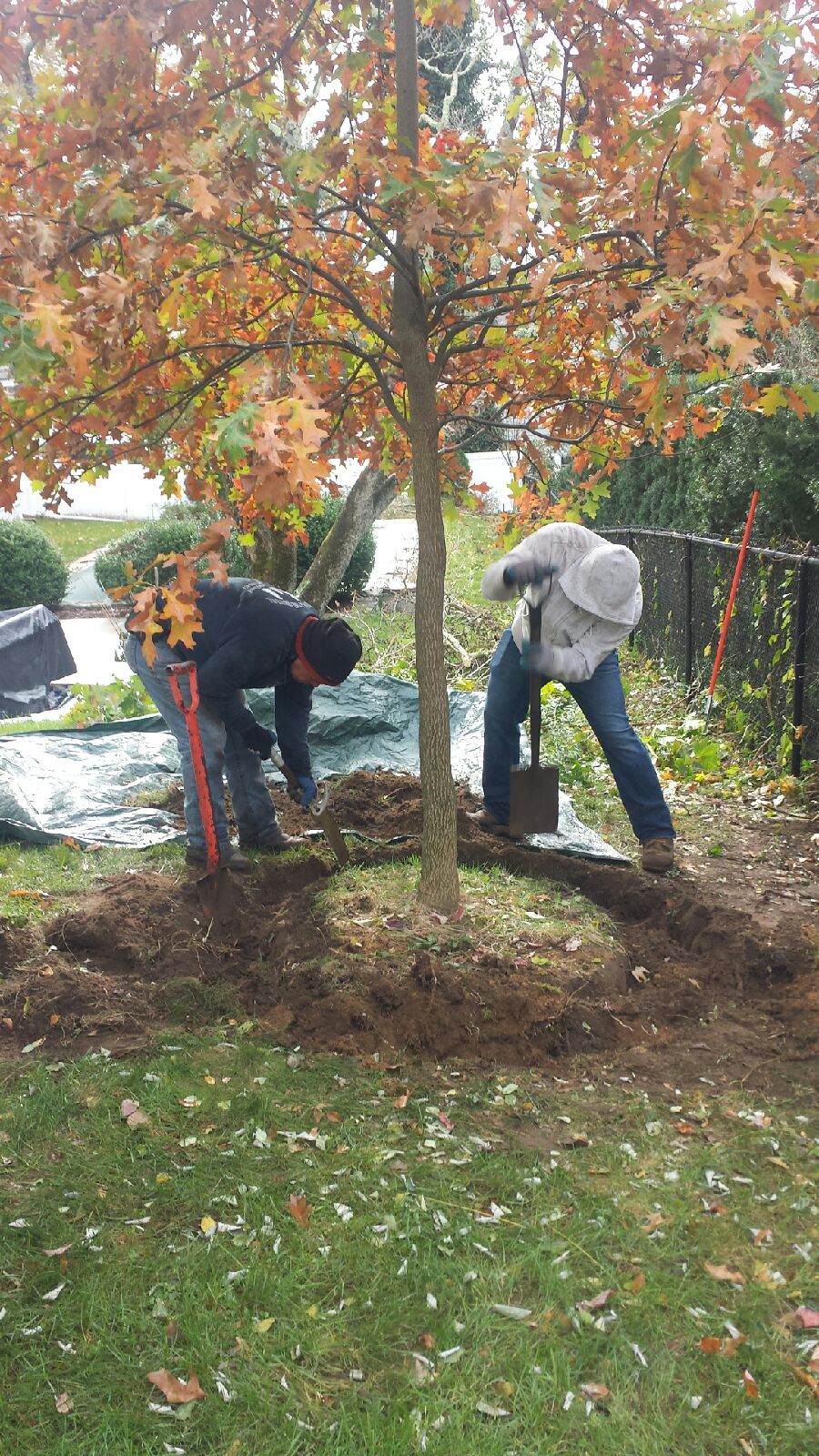 Silva Gardening and Tree Service Inc. Landscaping Ossining