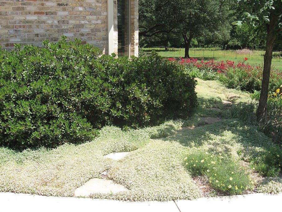 Meador's Garden Center and Landscaping Bulk Soil Denton TX