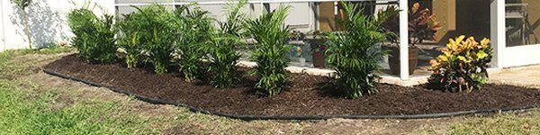 Mulching | Plant Growth | Parrish, FL