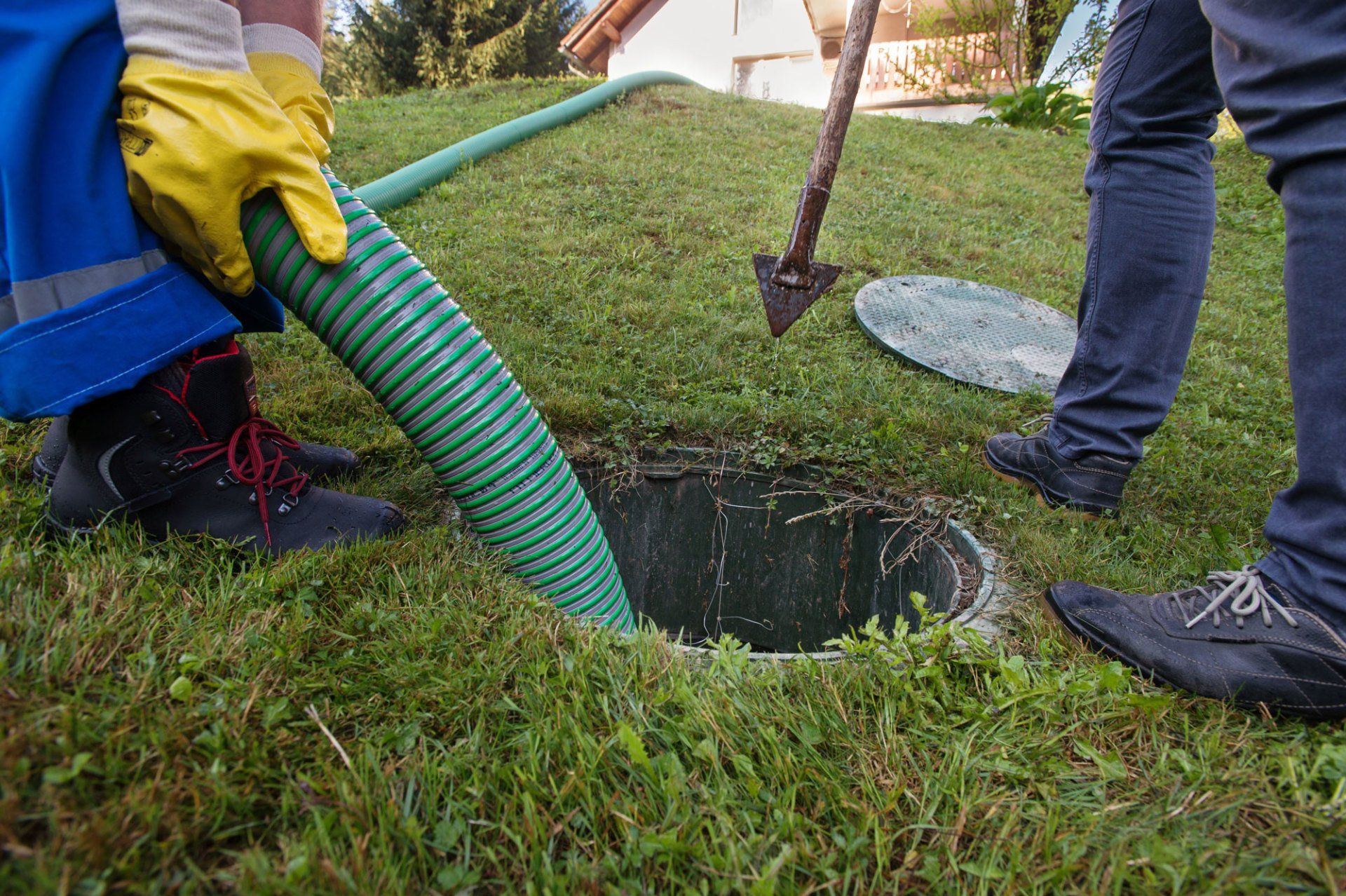 Expert feature: Organic cleaning