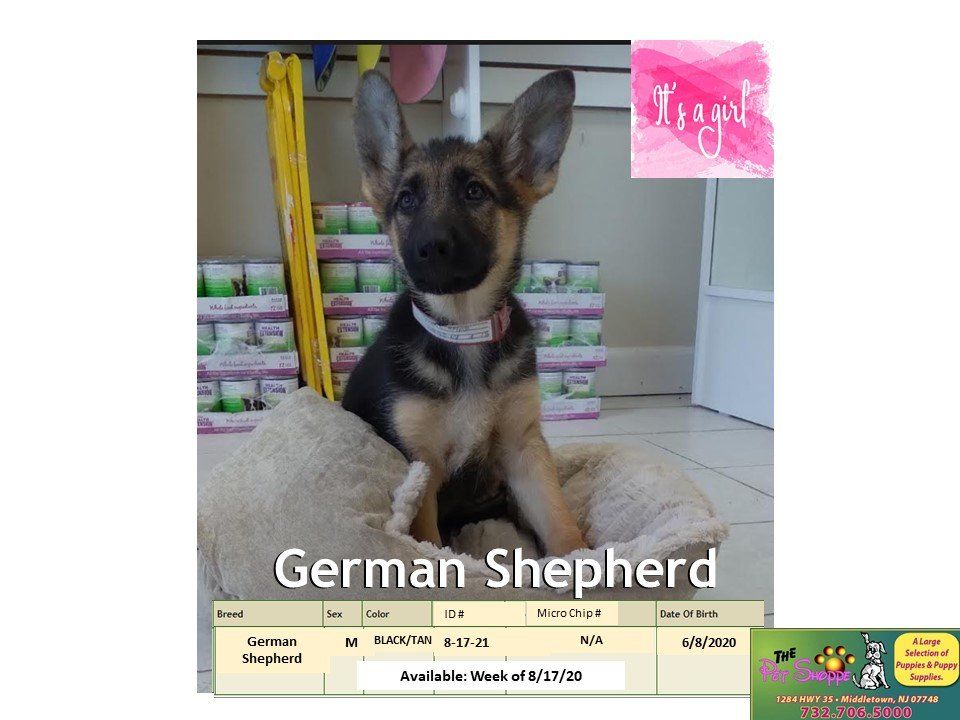 The Pet Shoppe | Pet Store | Middletown, NJ