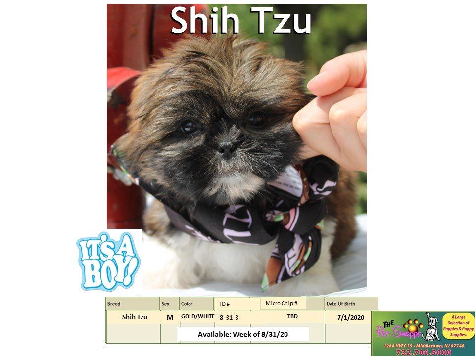 The Pet Shoppe Pet Store Middletown, NJ