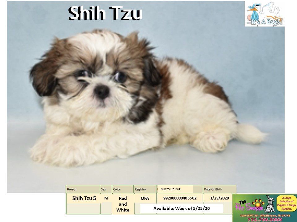 The Pet Shoppe Pet Store Middletown, NJ