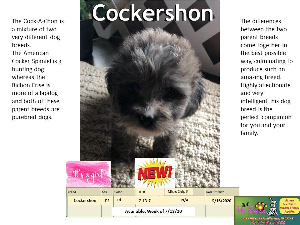 The Pet Shoppe Pet Store Middletown, NJ