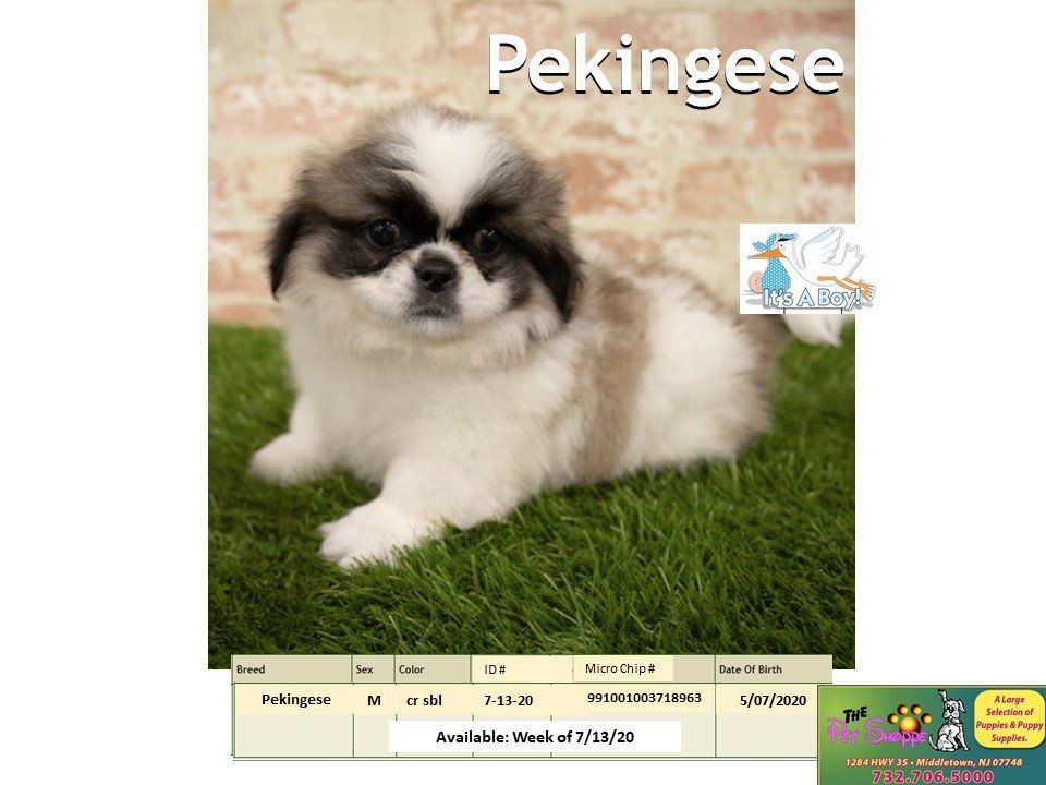 The Pet Shoppe Pet Store Middletown, NJ