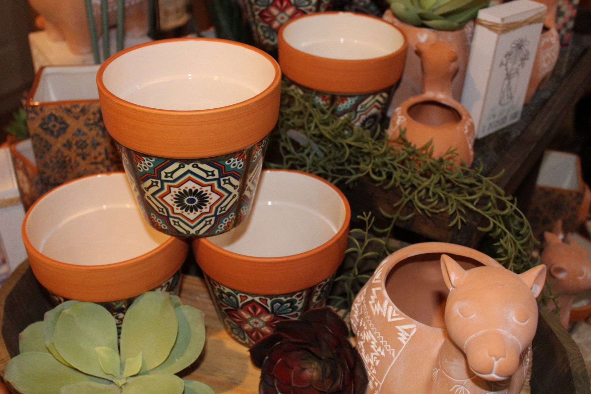 The Fig Tree Photo Gallery Cloquet, MN