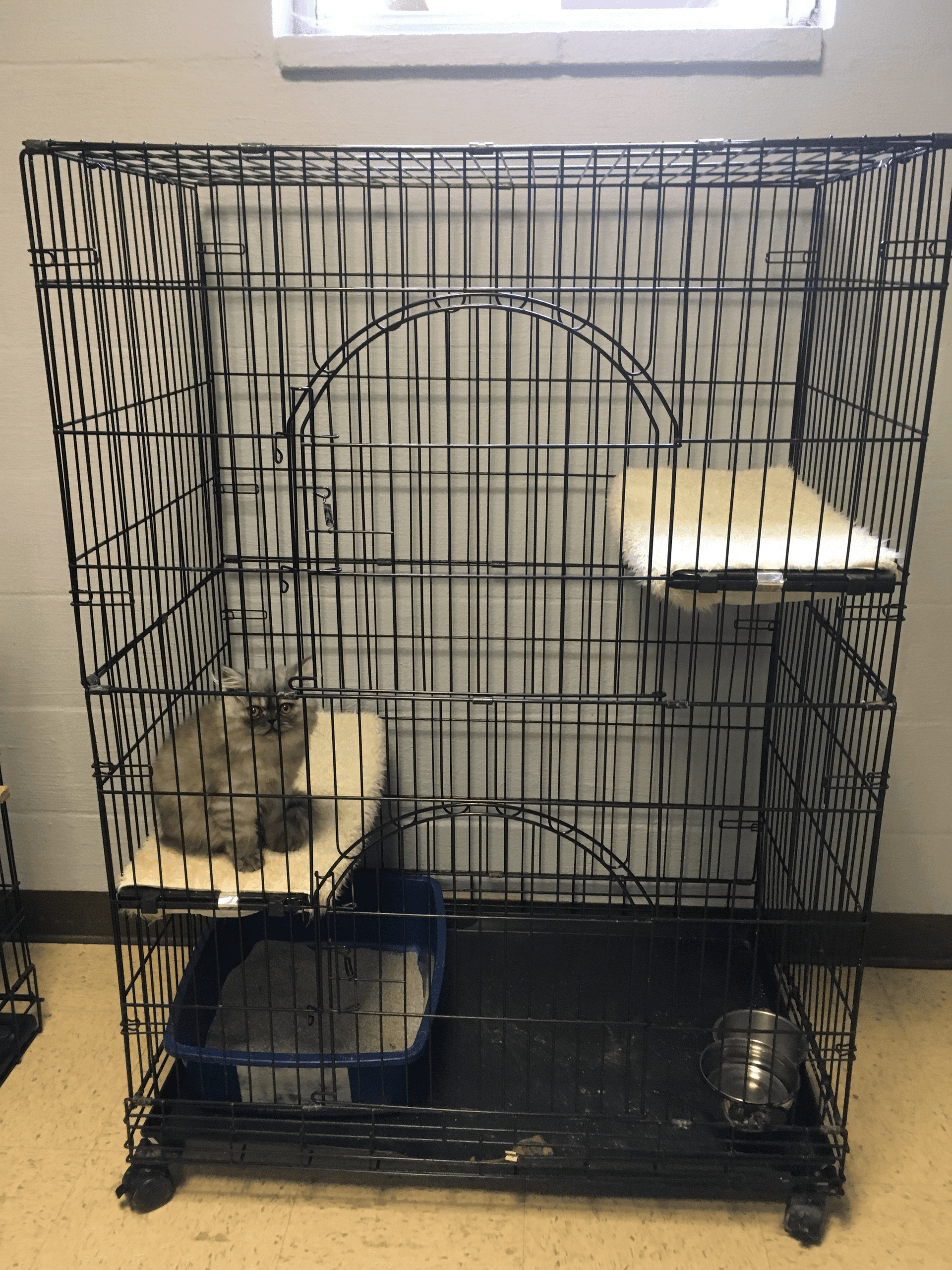 Pet Boarding Services Kennels Hanover, PA