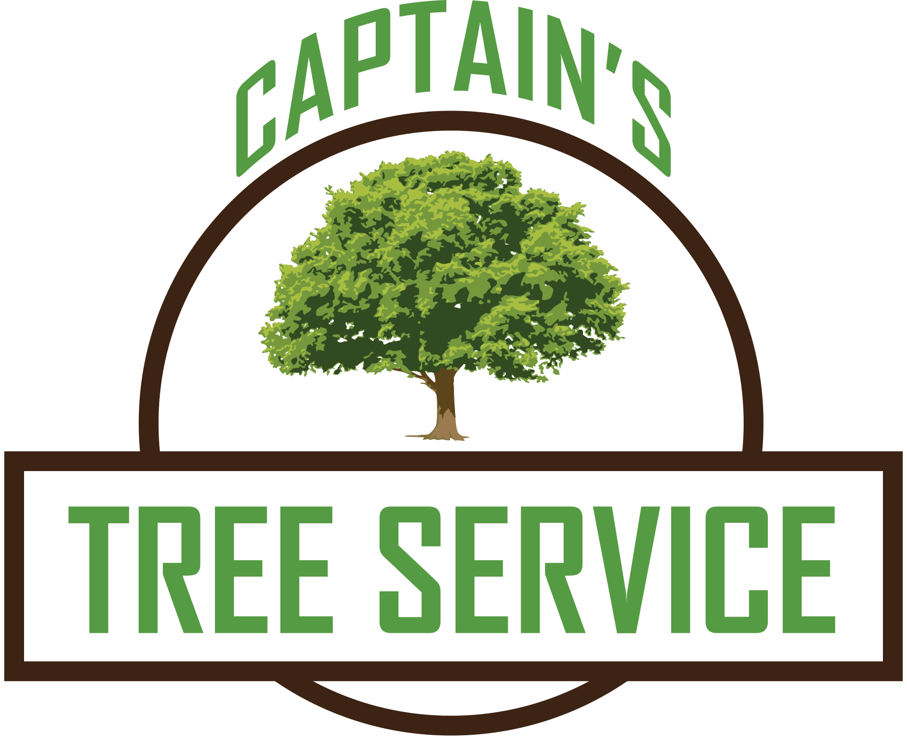 Hudson Tree Transplanting