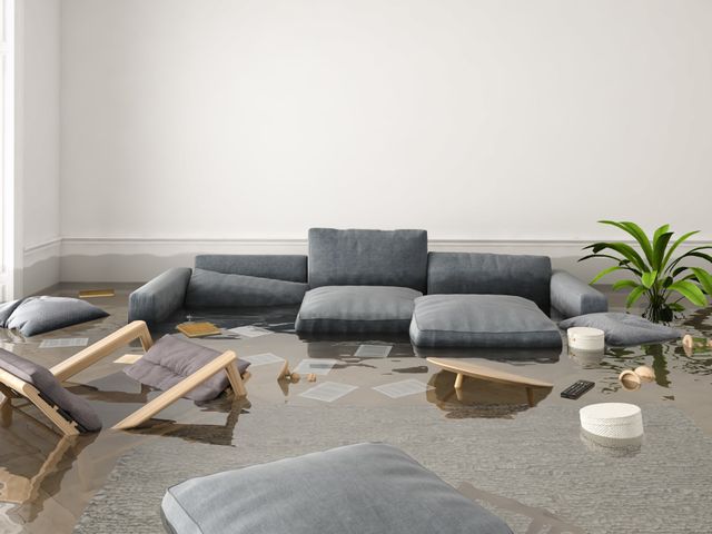 Water Damage Services Restoration Fort Wayne In Carpet Masters