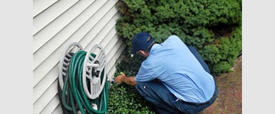 Pest Control | Pest Treatment | Ormond Beach, FL