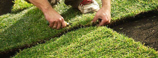 Lawn Installation | Seeding | Star Prairie, WI