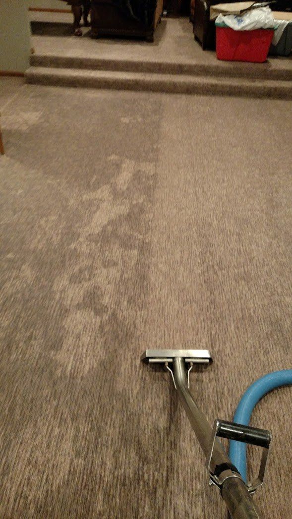 Hohn's Carpet Cleaning Photo Gallery | Mitchell, SD