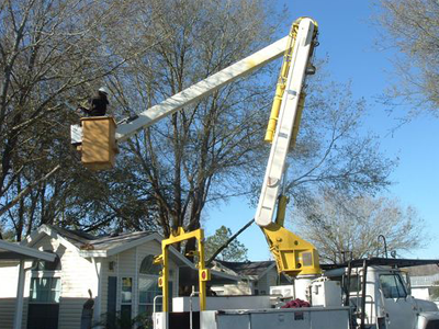 Tree Service Matthews Nc