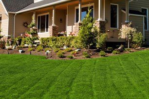 About Crain Sod LLC Taylorsville KY Turf