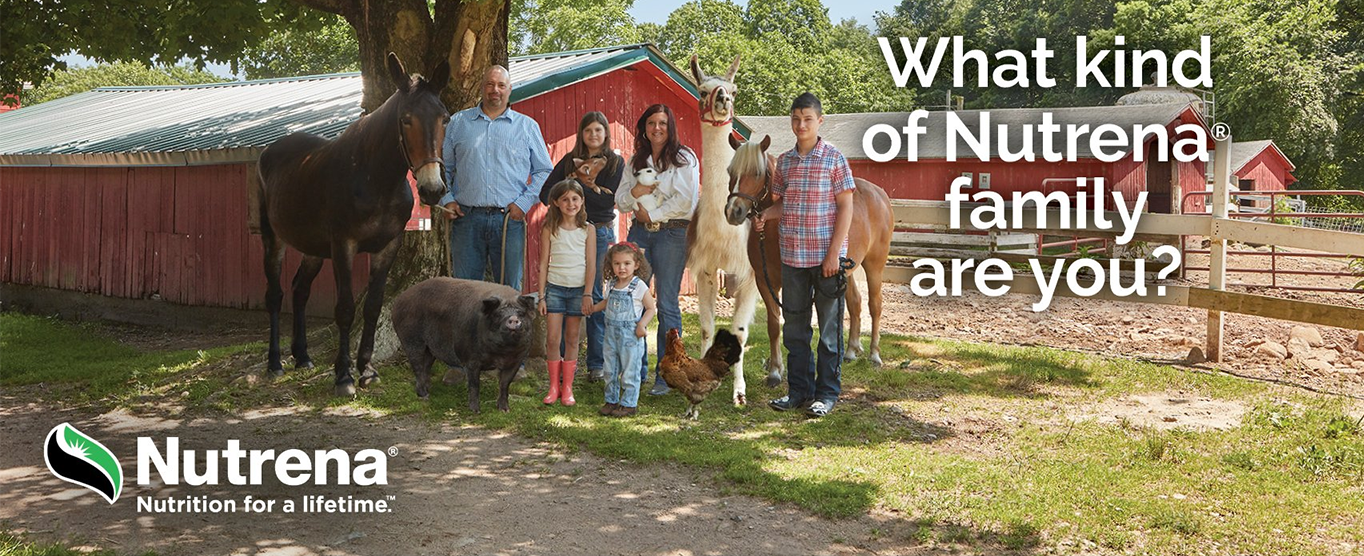 Red River Farm Coop Propane Gainesville, TX