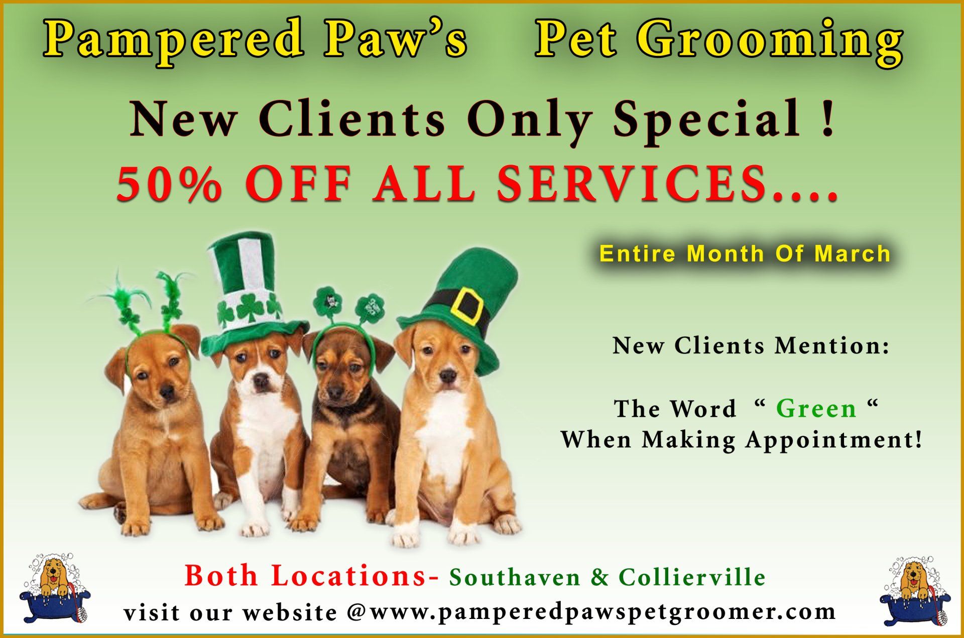 Pampered Paw’s Pet Grooming Collierville TN 9013165909