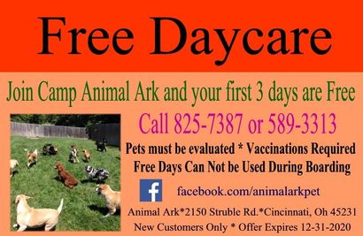 Animal Ark Pet Resort Coupons | Cincinnati, OH