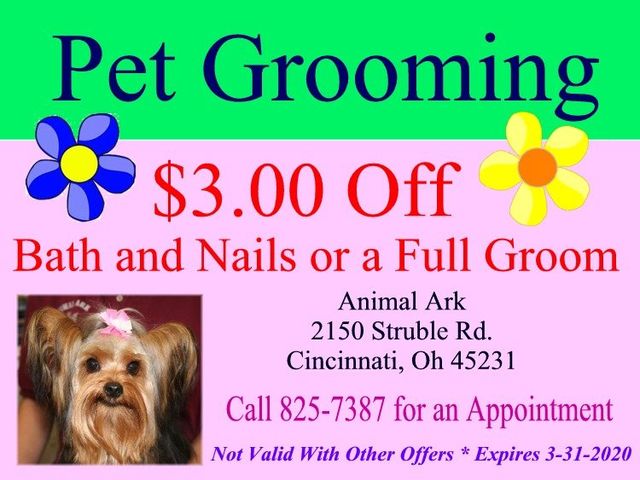 dog grooming coupons