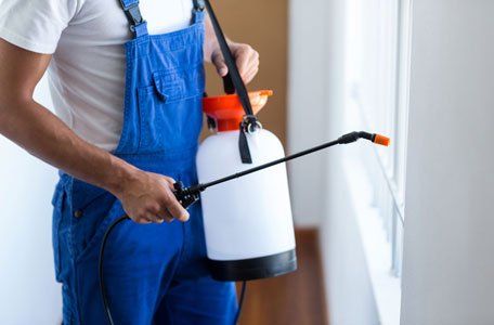 About Midwest Exterminators Inc | Lawrence, KS Pest Control