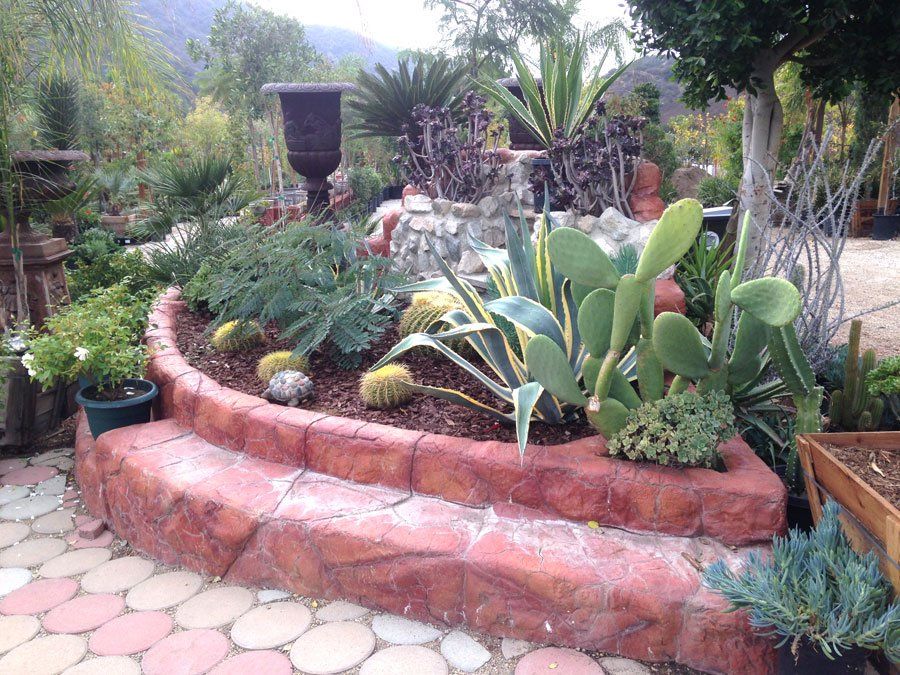 Southland Nursery Photo Gallery | Sun Valley, CA