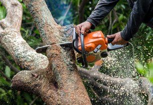 Hudson Tree Removal