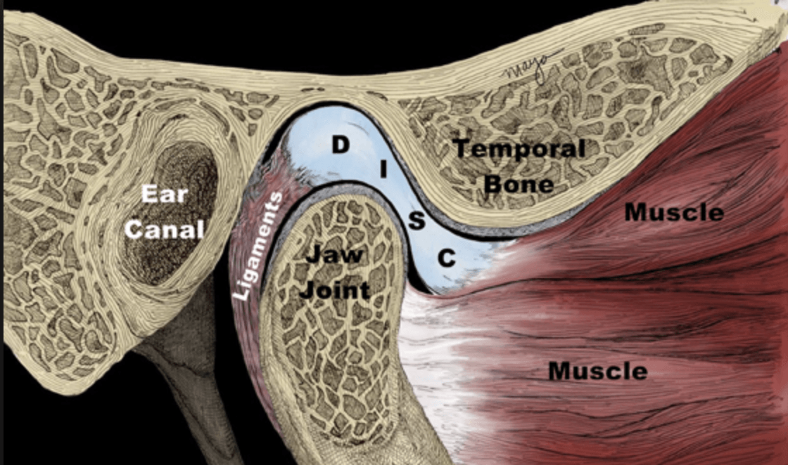 Can Physical Therapists Treat Temporomandibular Joint Dysfunction?
