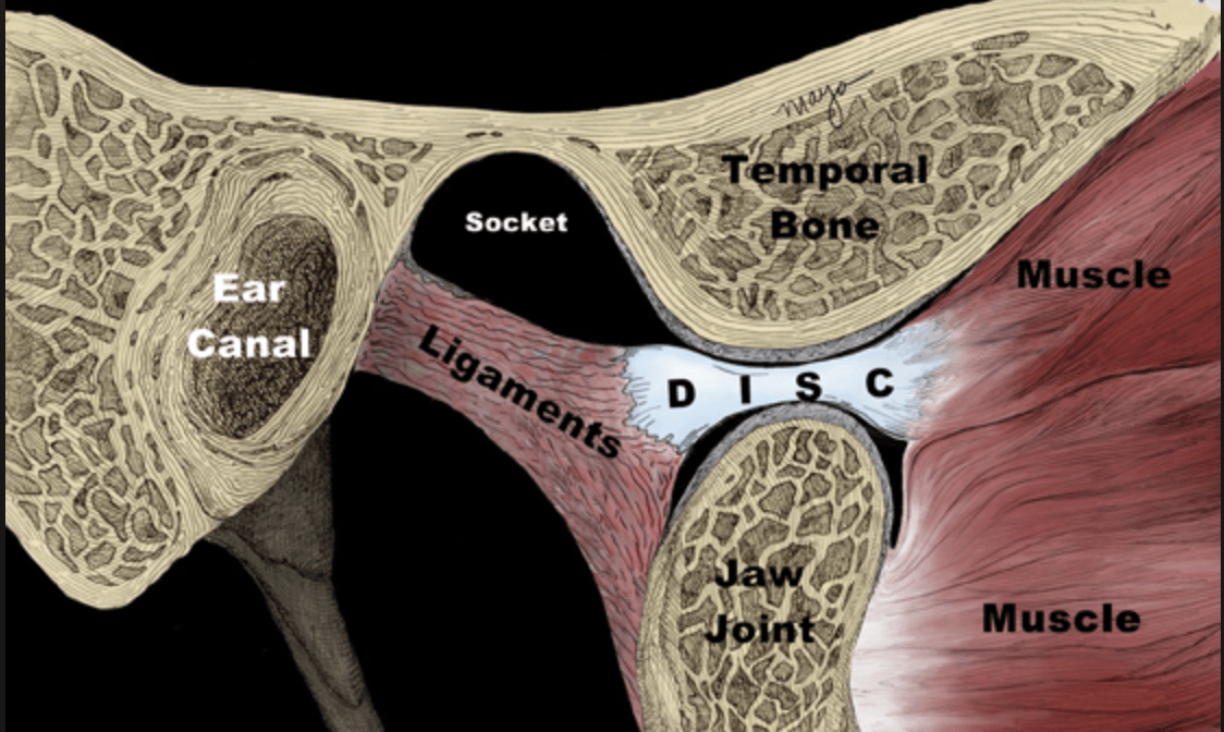 Can Physical Therapists Treat Temporomandibular Joint Dysfunction?