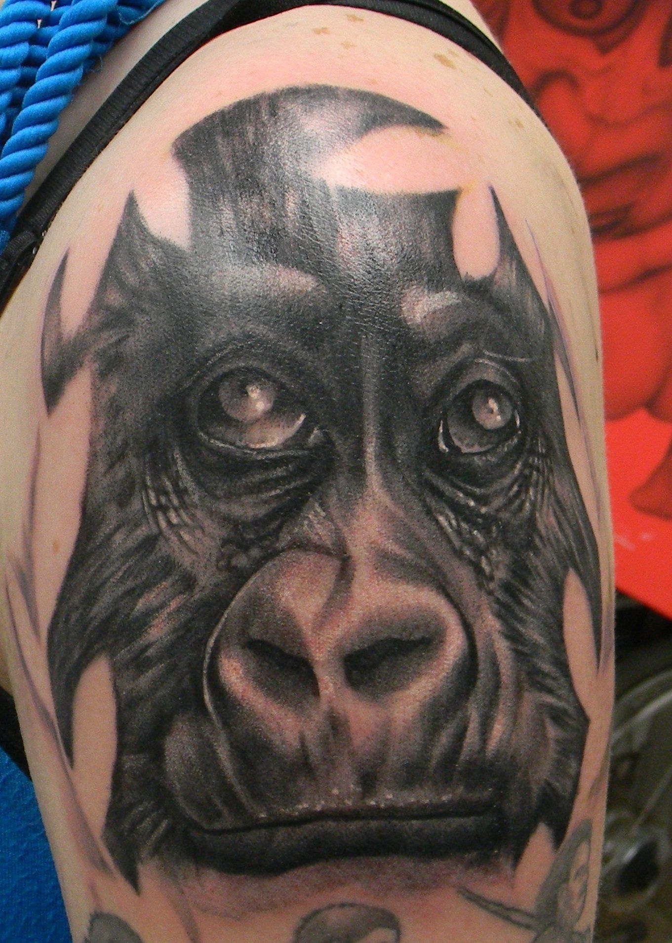 About The Darkside Tattoo Grand Forks, NY Roy