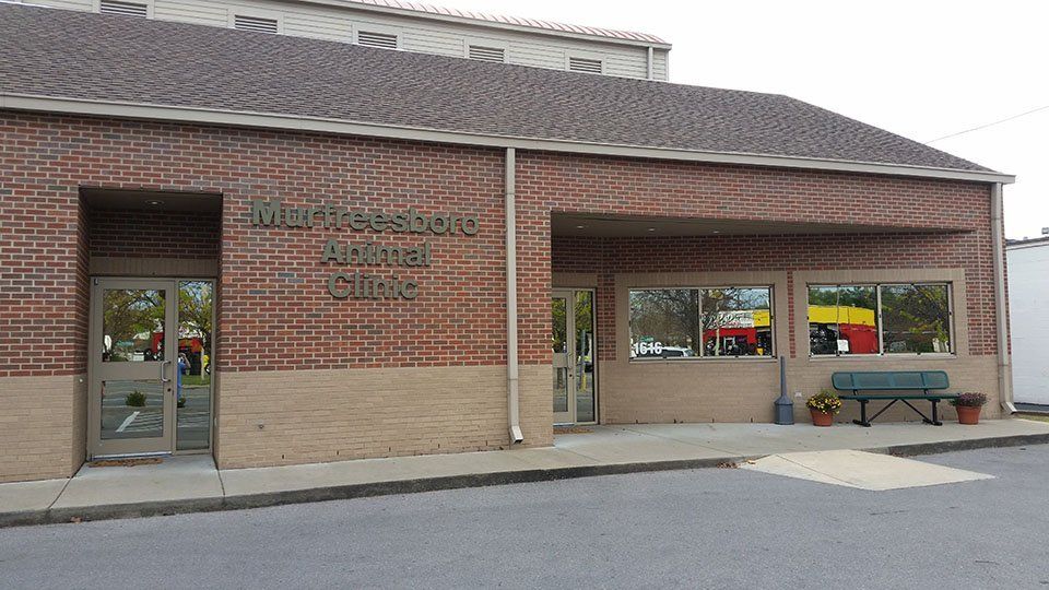 Murfreesboro Animal Clinic Photo Gallery | Murfreesboro, TN