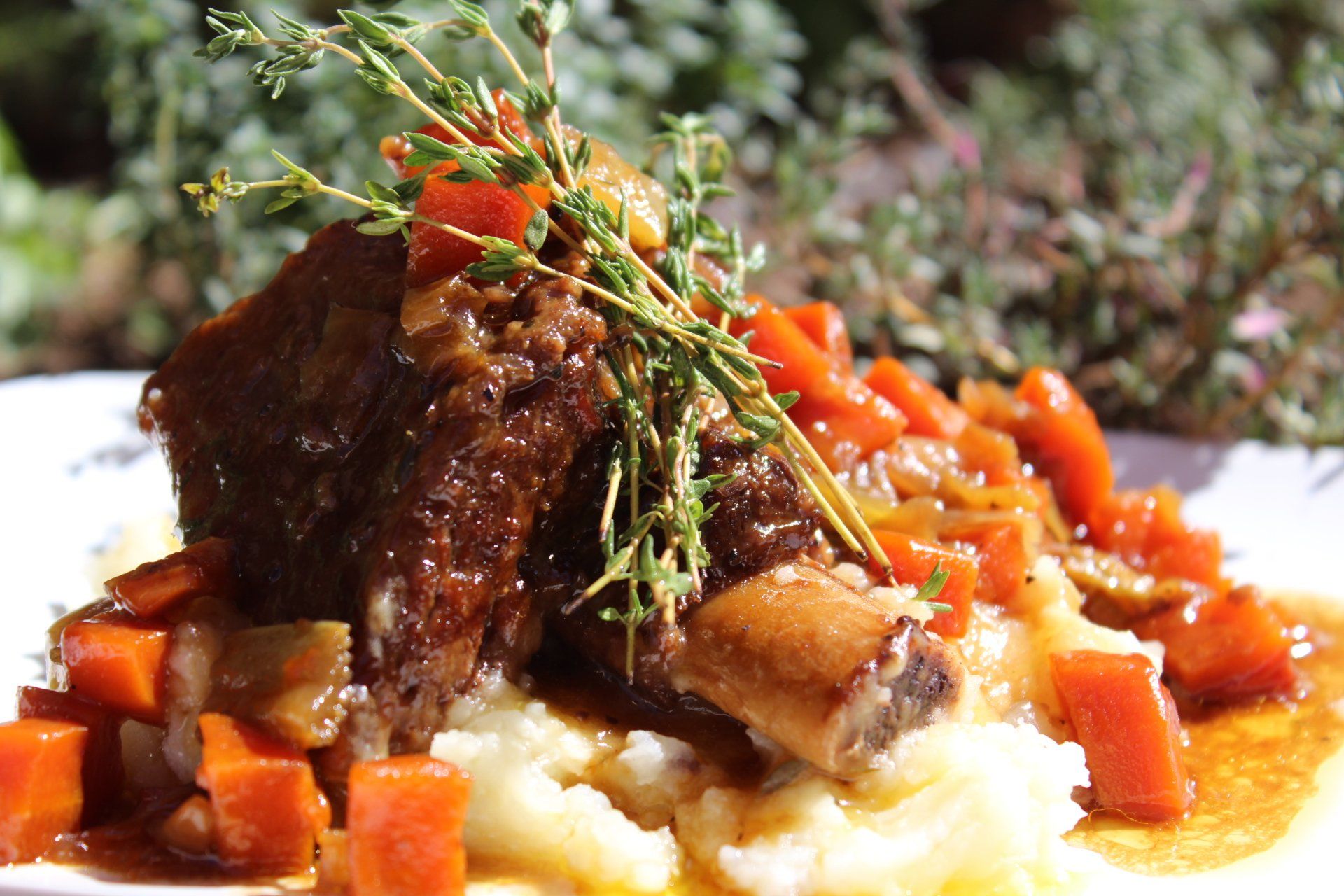 beer-braised-short-ribs-for-national-beer-day