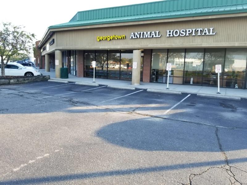 Animal Hospital Photo Gallery Indianapolis, IN