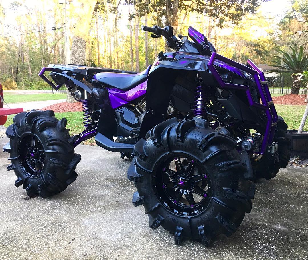 florida custom paint fx. florida custom paint fx.