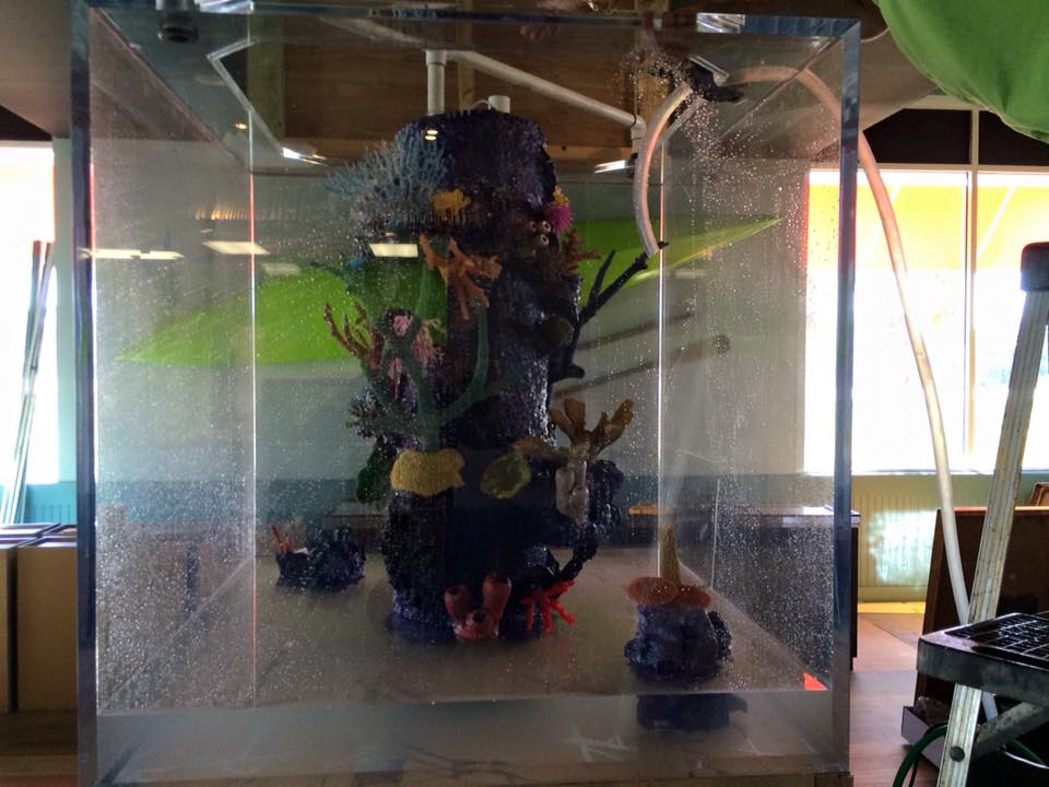 Custom Aquariums Public Aquariums Sarasota, FL