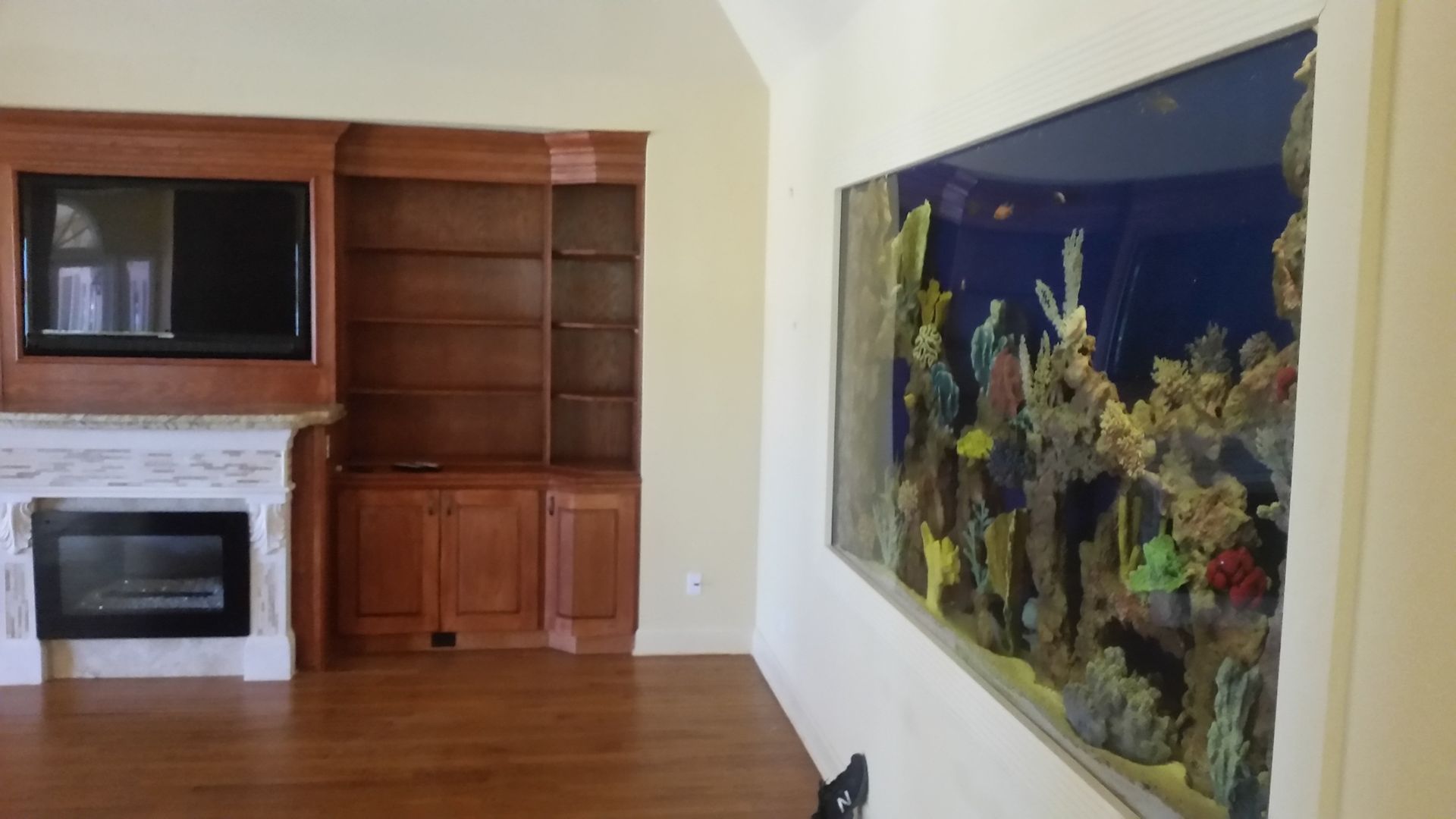 Custom Aquariums Public Aquariums Sarasota, FL